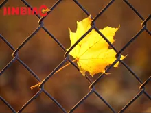 The Ultimate Guide to Chain Link Fence