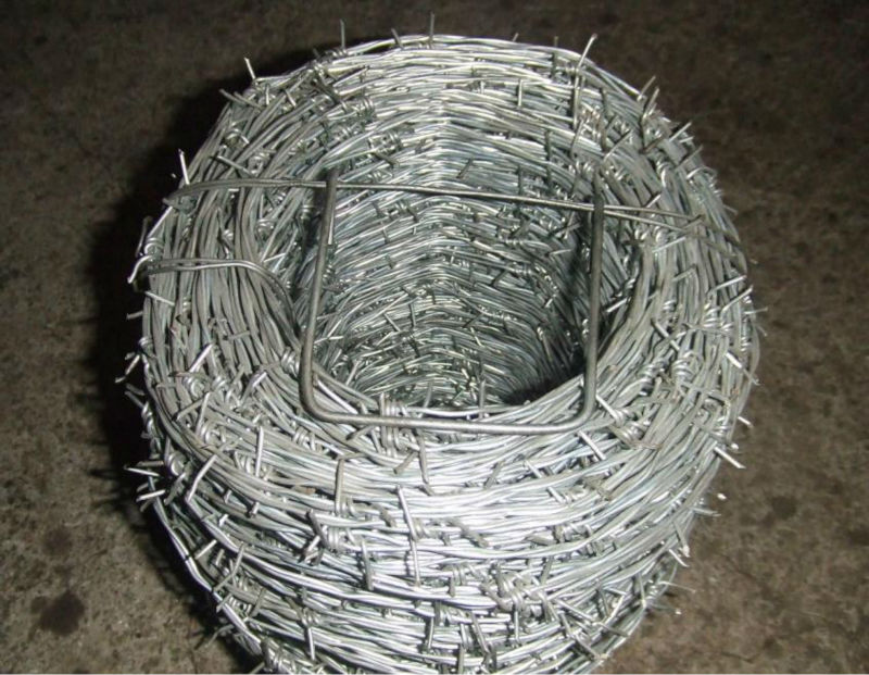 Barbed_Wire_Barbed_Iron_Wire_Barbed_Wire_Fence_Barbed_Wire