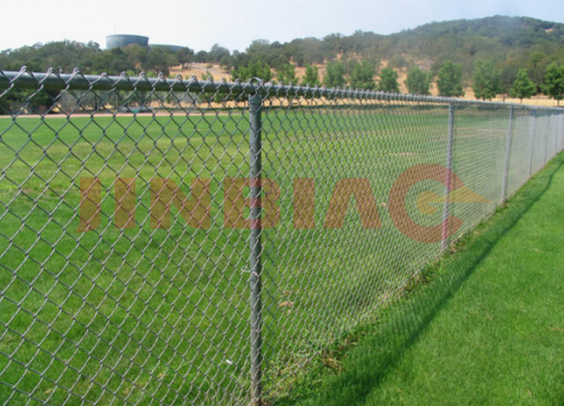 Galvanized/PVC coated Chain Link Fence