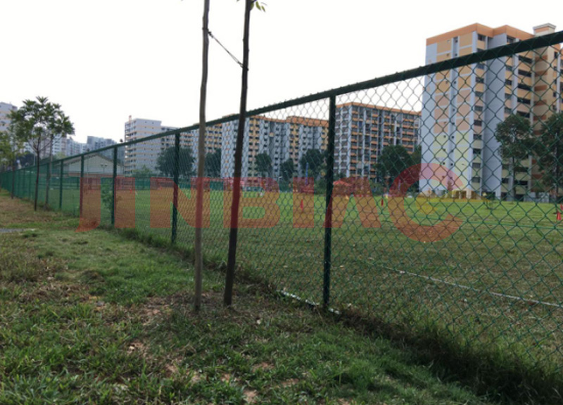 Galvanized/PVC coated Chain Link Fence