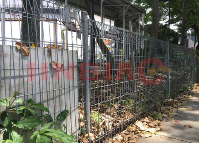 Wire Mesh Fence/Fencing Mesh