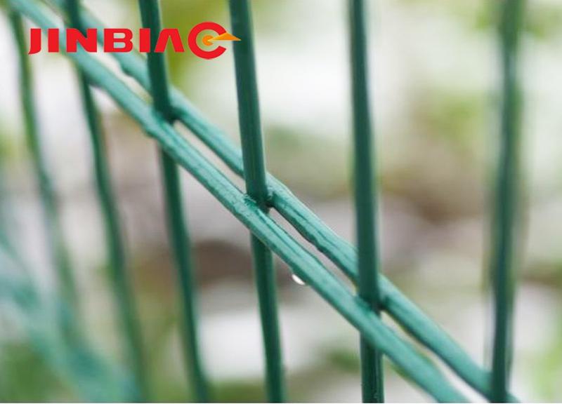 High quality cheap Double wire painted green double wire mesh fence--jinbiao