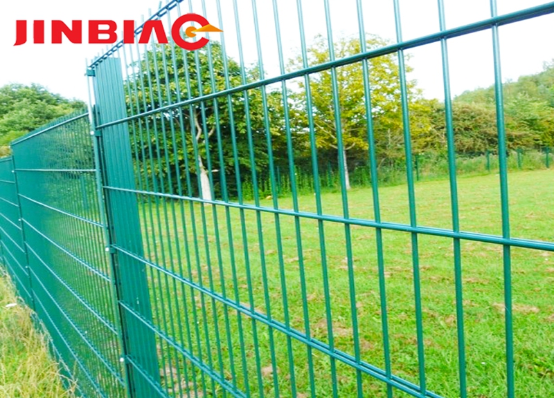 High quality cheap Double wire painted green double wire mesh fence--jinbiao